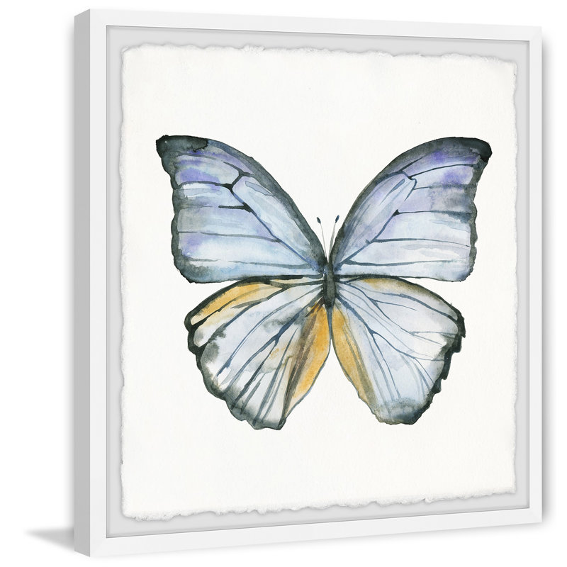 Blue Lace Wings by Marmont Hill - Single Picture Frame Print, 51cm x 51cm W