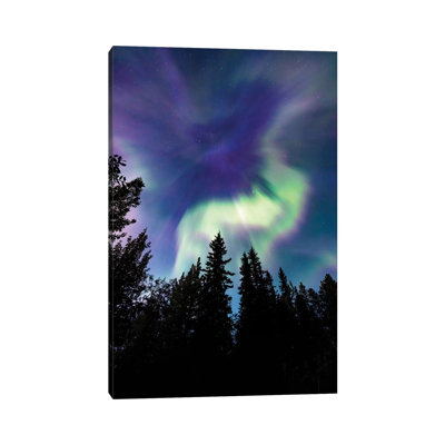 Up In The Sky by Lucas Moore - Wrapped Canvas Print