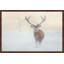Parvez Taj - Single Picture Frame Print-19701029