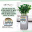 Canto Planter Box-27444868-72790957