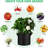 Paisynn Nursery Pot-1161932000