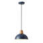 Luminaire suspendu conique à 1 lumière Bernyce-1356188220-1356188218