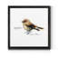 Mixed signaux I-reproduction de photo sur toile encadrée-1481400222-1481400217