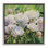 Impression sur toile Impressionnant pivoines encadrées, par Katrina Pete