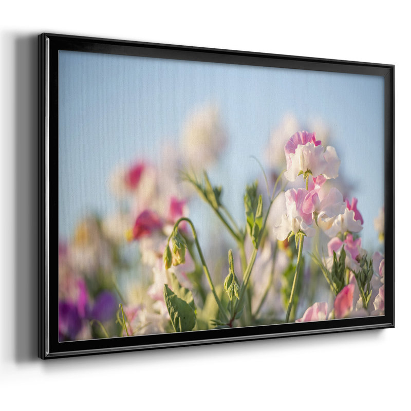 «Spring Petals», reproduction sur toile, Noir, H 14 po x l 20 po x P 1,5 po