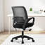 Chaise de bureau ergonomique Nectara avec dossier en filet, accoudoirs, conception peu encombrante-106361449
