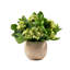 Faux Greenery Arrangement in Gold Vase