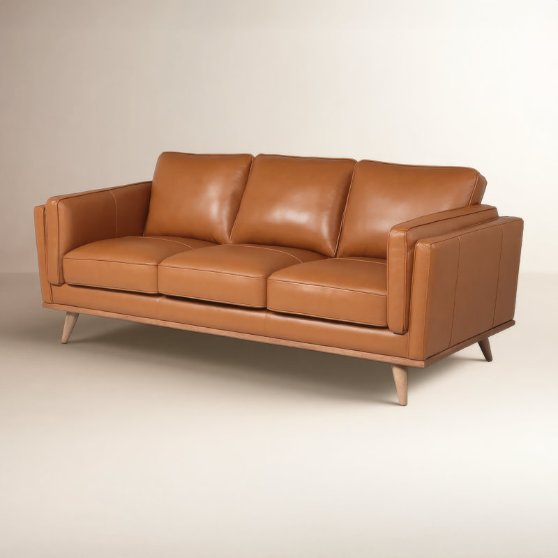 Gabon Mid Century Modern Leather Sofa