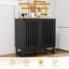 Armoire noire moderne avec porte grillagée et structure en métal, espace de rangement spacieux pour une utilisation quotidienne, pied de porte à lattes rayé polyvalent, espaces de conception,