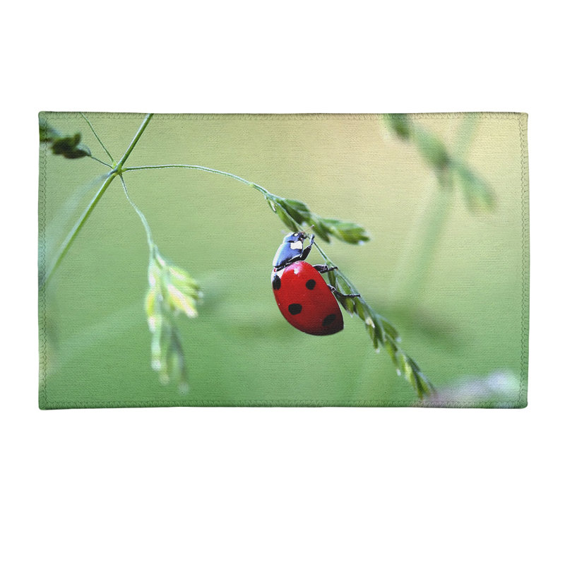 Tapis vert coccinelle en coccinelle, Rectangle 2 pi x 3 pi