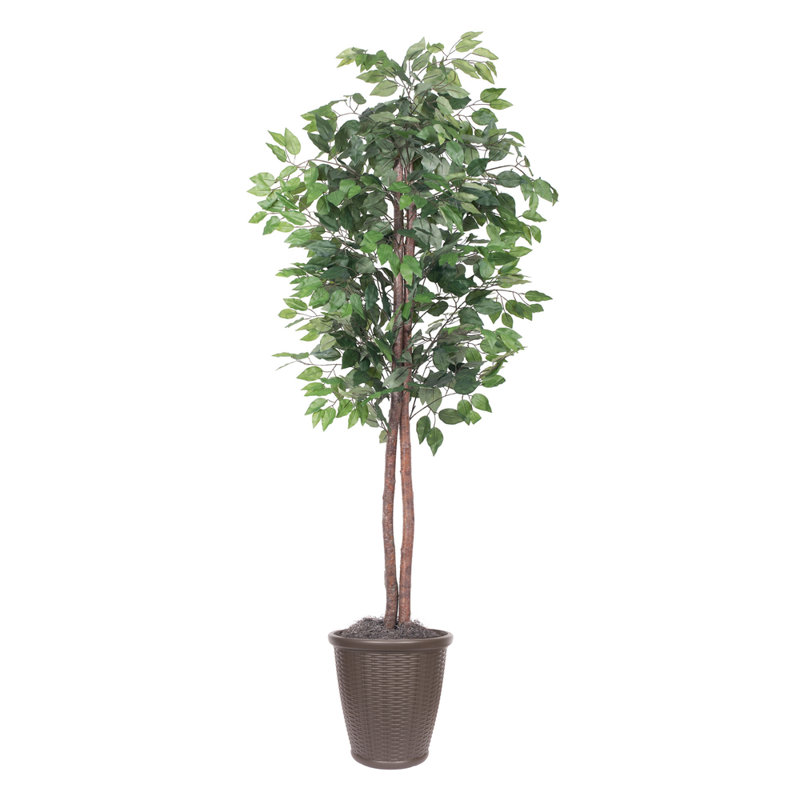 Ficus artificiel 72 po en pot, Brun