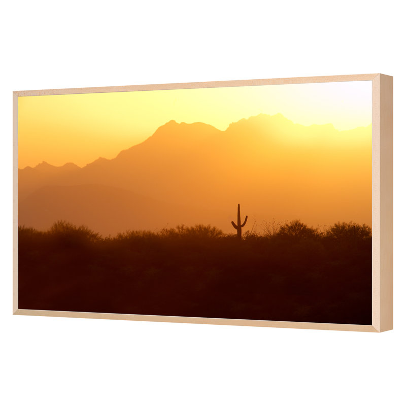 Parc national de Saguaro, Arizona 127836, Cadre simple érable érable