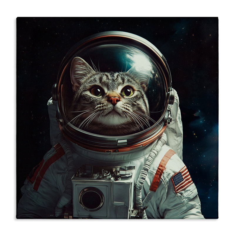 Toile d'astronaute, conception par Jim Baldwin, H 17 po x l 17 po
