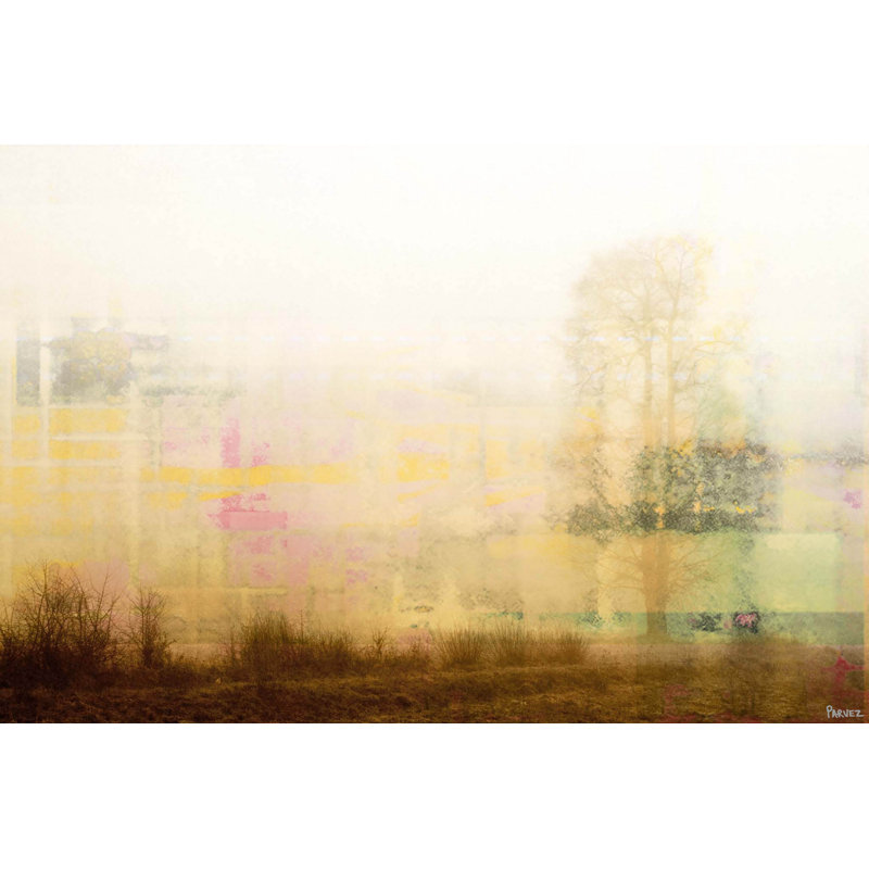 Parvez Taj - Wrapped Canvas Print, 41cm H x 61cm W
