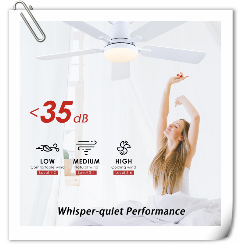 Museau Ceiling Fan with LED Lights, White