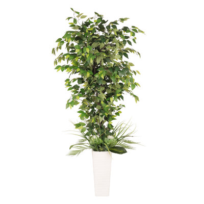 72'' Faux Ficus Plant in Ceramic Pot