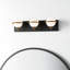 Bertram 3 Light Frosted Dimmable Vanity Light
