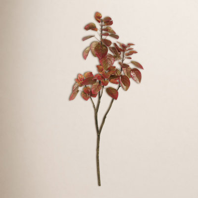 48" Cotinus Coggygria Branch