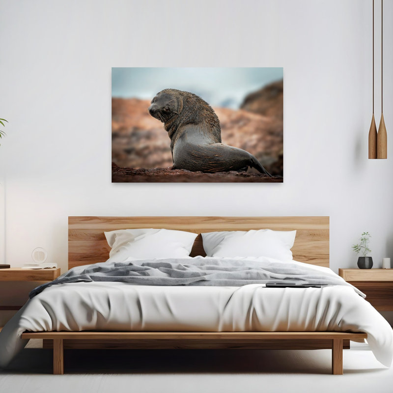 Curious Fur Seal Abstract Contemporary Animal Nature Wall Art Print 1 Piece Wrapped Canvas Wall Art, 101.6cm H x 152.4cm W