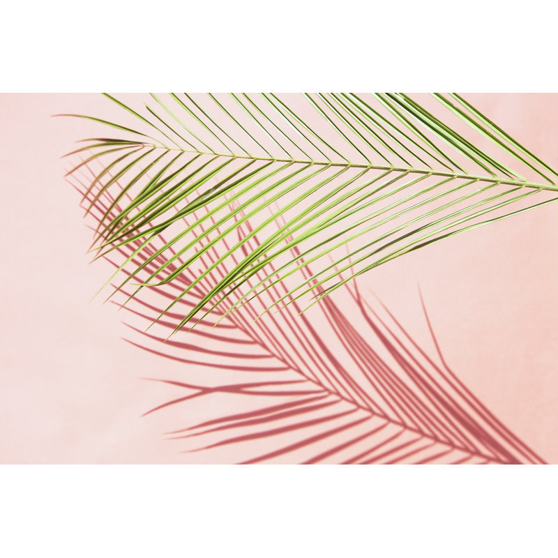 Palm Leaf by Studio Doros - Wrapped Canvas Print, 30cm H x 46cm W x 3.8cm D