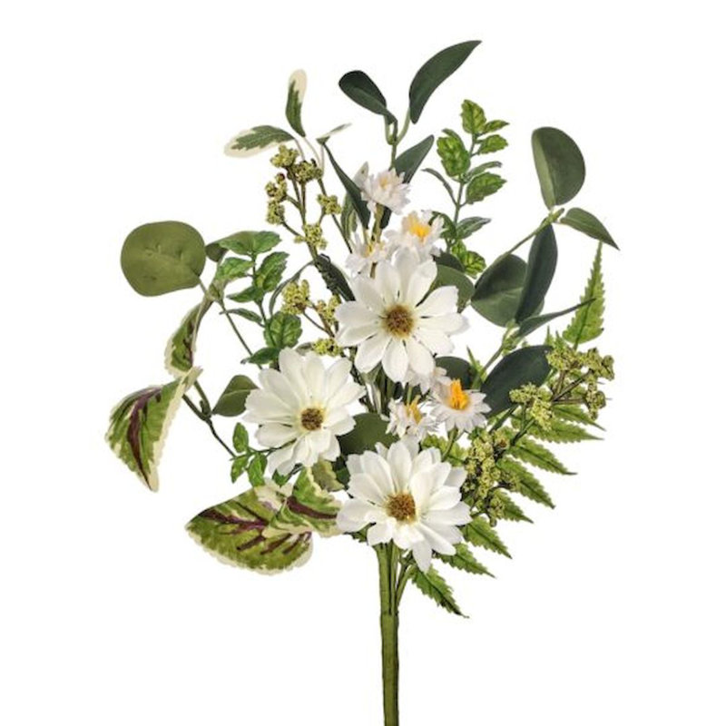 Tiges de marguerite