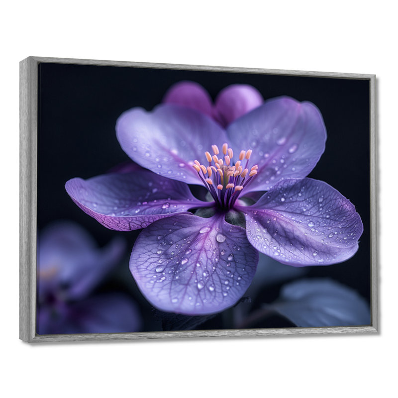Mauve noir Moody Majesty, fleur de pommier, H 12 po x l 20 po, Encadrement argenté