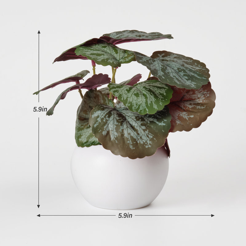 5.9'' Faux Philodendron Topiary in Ceramic Pot for Desktop or Shelf Decór