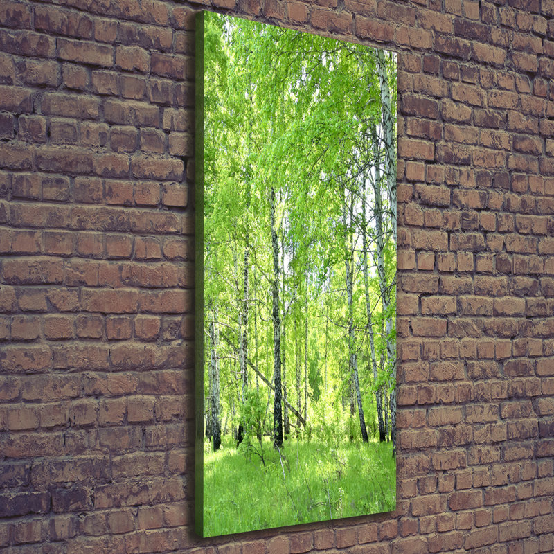 Birch Forest - Wrapped Canvas Print