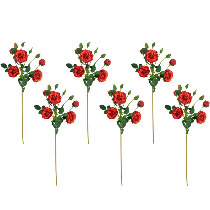 Jets de roses, Orange