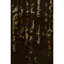 Spring Brown Area Rug-1844465420