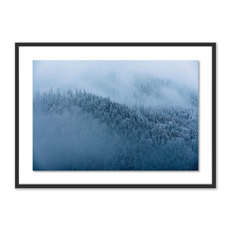 Winter Trees II Print by Michael Schauer, Black, 29" H x 40" W x 2.5" D
