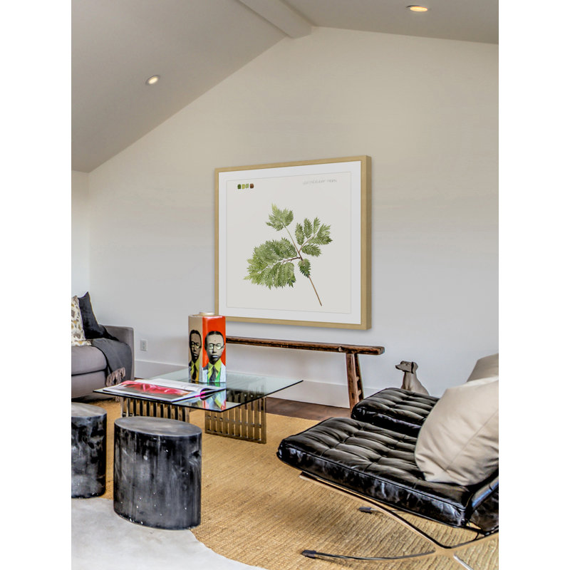 «Leaf Study II», reproduction encadrée, H 12 po x l 12 po x P 1,5 po