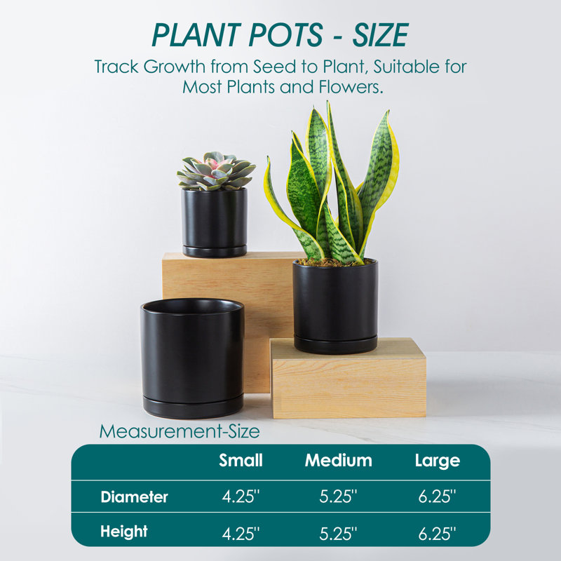 FLHPOT Ceramic Pot Planter, Black