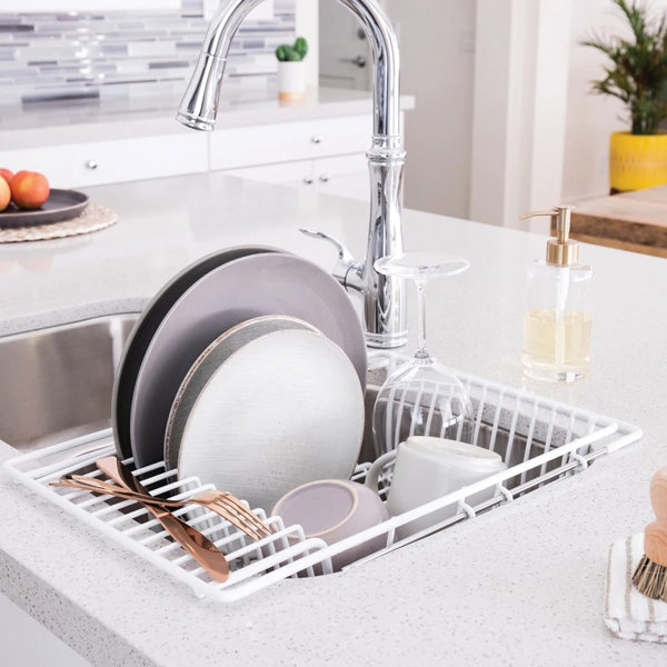 https://assets.wfcdn.com/im/56101718/resize-h600-w600%5Ecompr-r85/2118/211850178/Steel+in+Sink+Dish+Rack.jpg