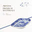 Plats de cornichon italien bleu Spode, ensemble de 2 - Bordure campagne et volutes