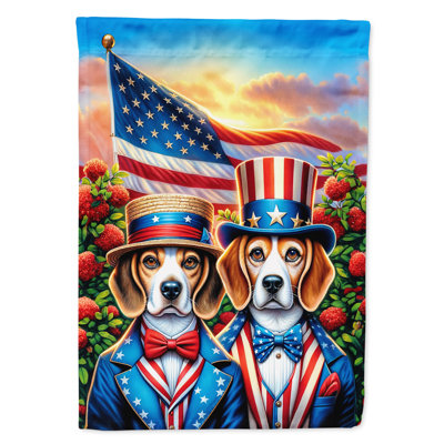 Drapeau «All American House»