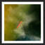 Karolis Janulis - Single Picture Frame Print-18343989
