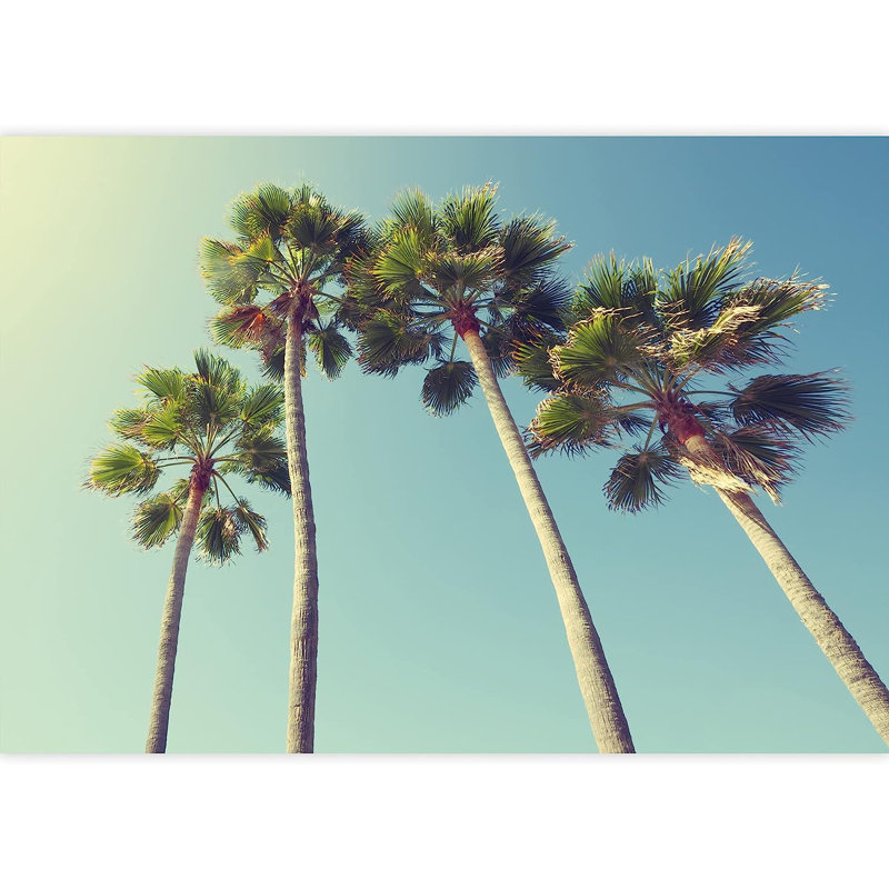Murale à peindre de style californien Palm Trees, L 66 po x l 96 po