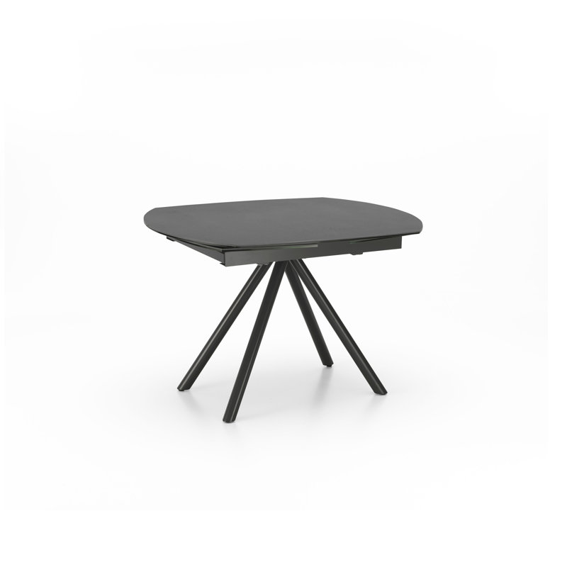 Brinkerhoff Extendable Oval Glass Top Metal Base Dining Table