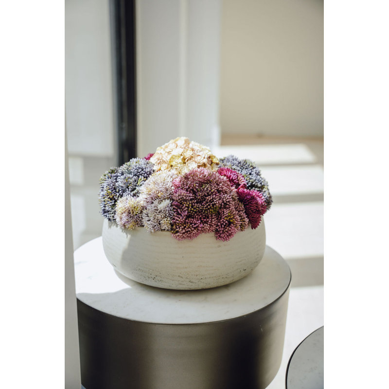 Deveraux Sedum Arrangement
