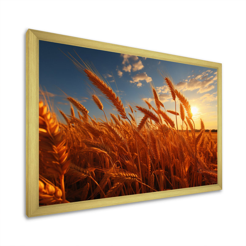Canada Golden Harvest II - impression, Cadre doré à une seule photo, H 30 po x l 40 po x P 1,5 po