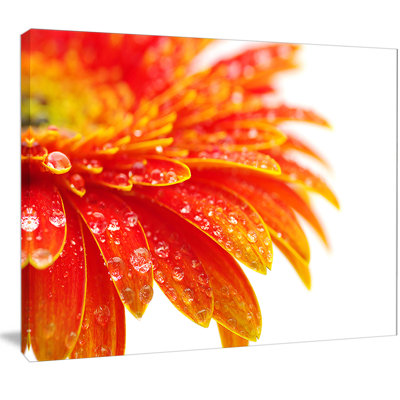 «Orange Gerbera with Raindrops», impression sur toile tendue