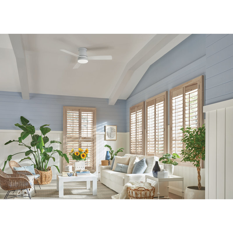 Peppa 44'' Ceiling Fan with LED Lights, Matte White