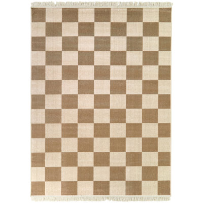 Cemshid Checkered Indoor Rug