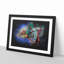 A Chameleon - Picture Frame Graphic Art Print-56876788-56876794
