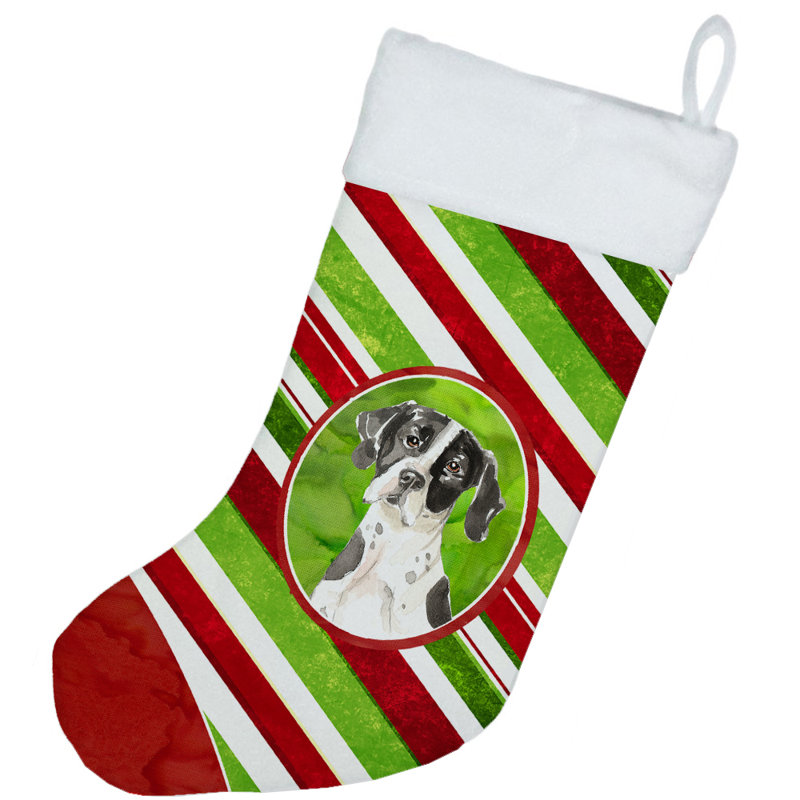 Chaussette de noël à rayures à sucre, Pointer anglais