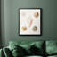 Toile encadrée Pastel Knorr Shells-350724587-350724598