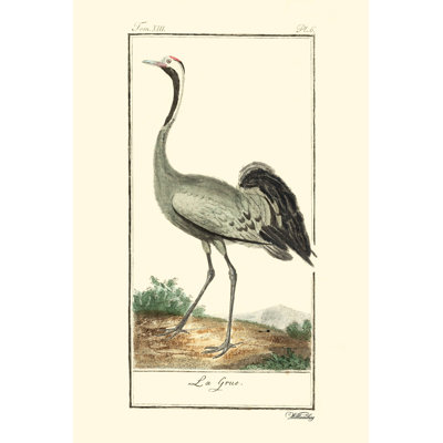 Buffon Cranes & Herons IV