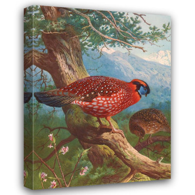 "Temminck's Tragopan" by  Archibald Thorburn - Gallery Wrap Canvas Wall Art