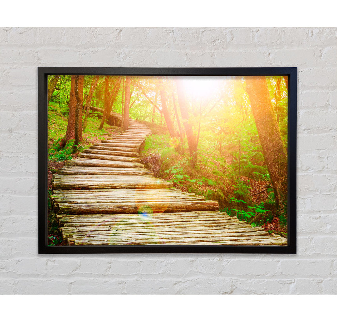 Log Trail Through The Woods - Single Picture Frame Kunstdrucke auf Leinwand